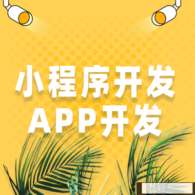 企業(yè)可以自行開發(fā)小程序，第三方外包公司為什么還是層出不窮？